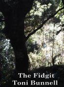 Fidgit cover 2