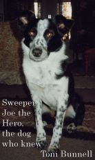 Sweep 2 2nd edited cover