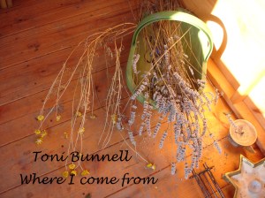 Where I come from CD cover for website