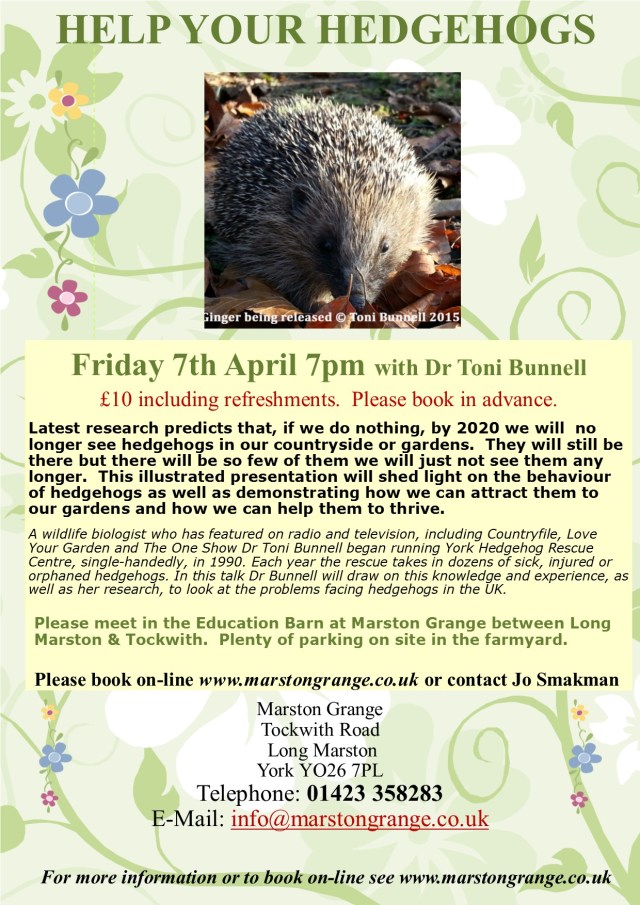 Hedgehogs Spring 2017